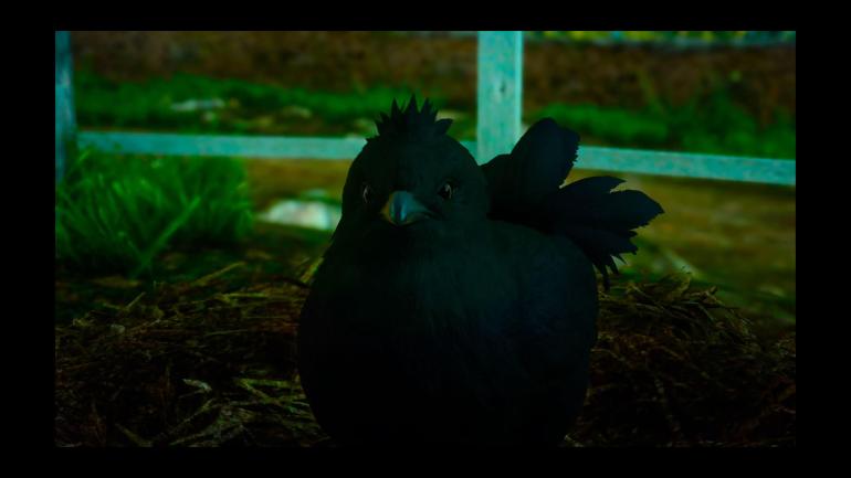 A black baby Chocobo from Final Fantasy XV is the centre of the image. There is some dirt and grass around it. A small section of a white fence is in the background.